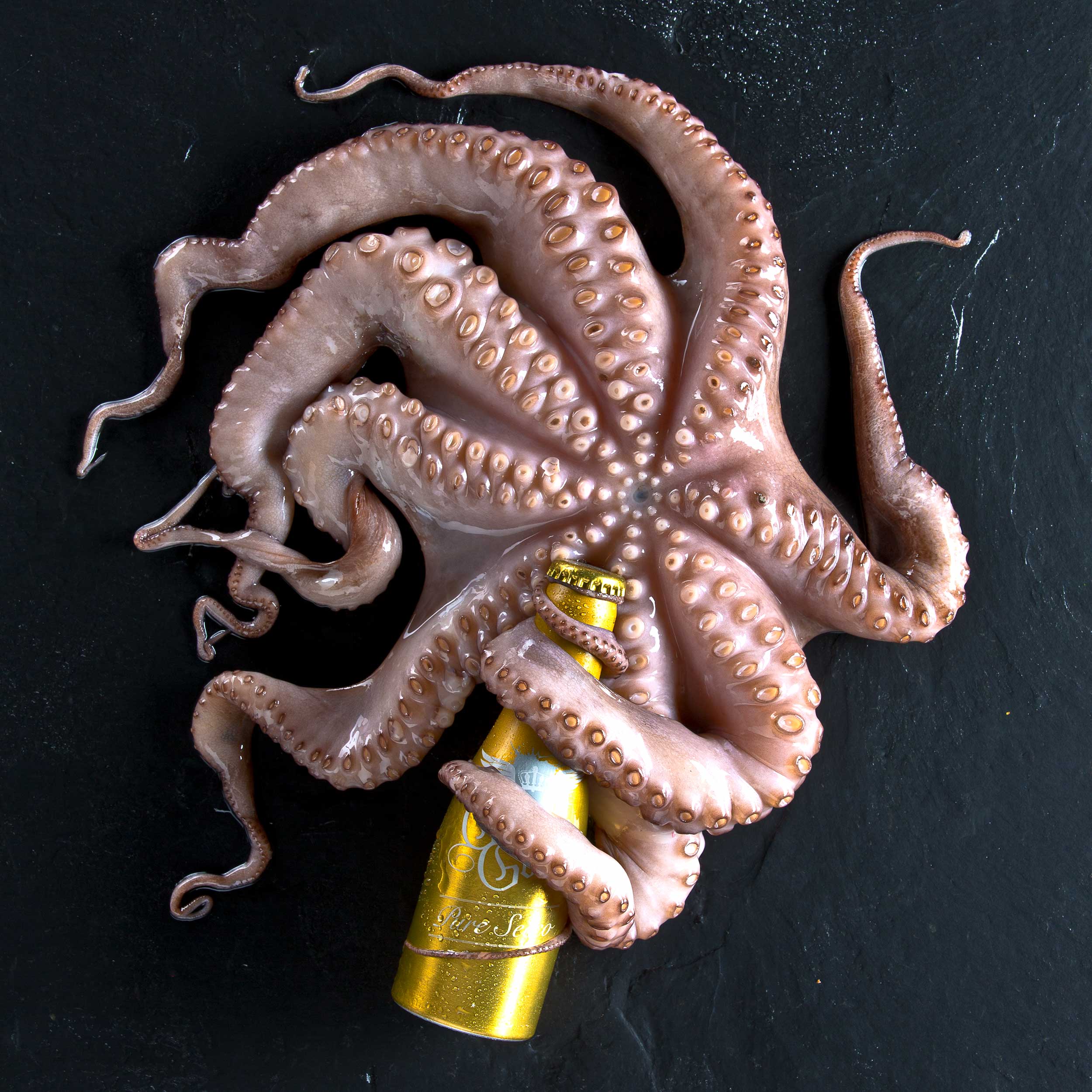 Oktopus hält Flasche - Stephan Geiger Photography